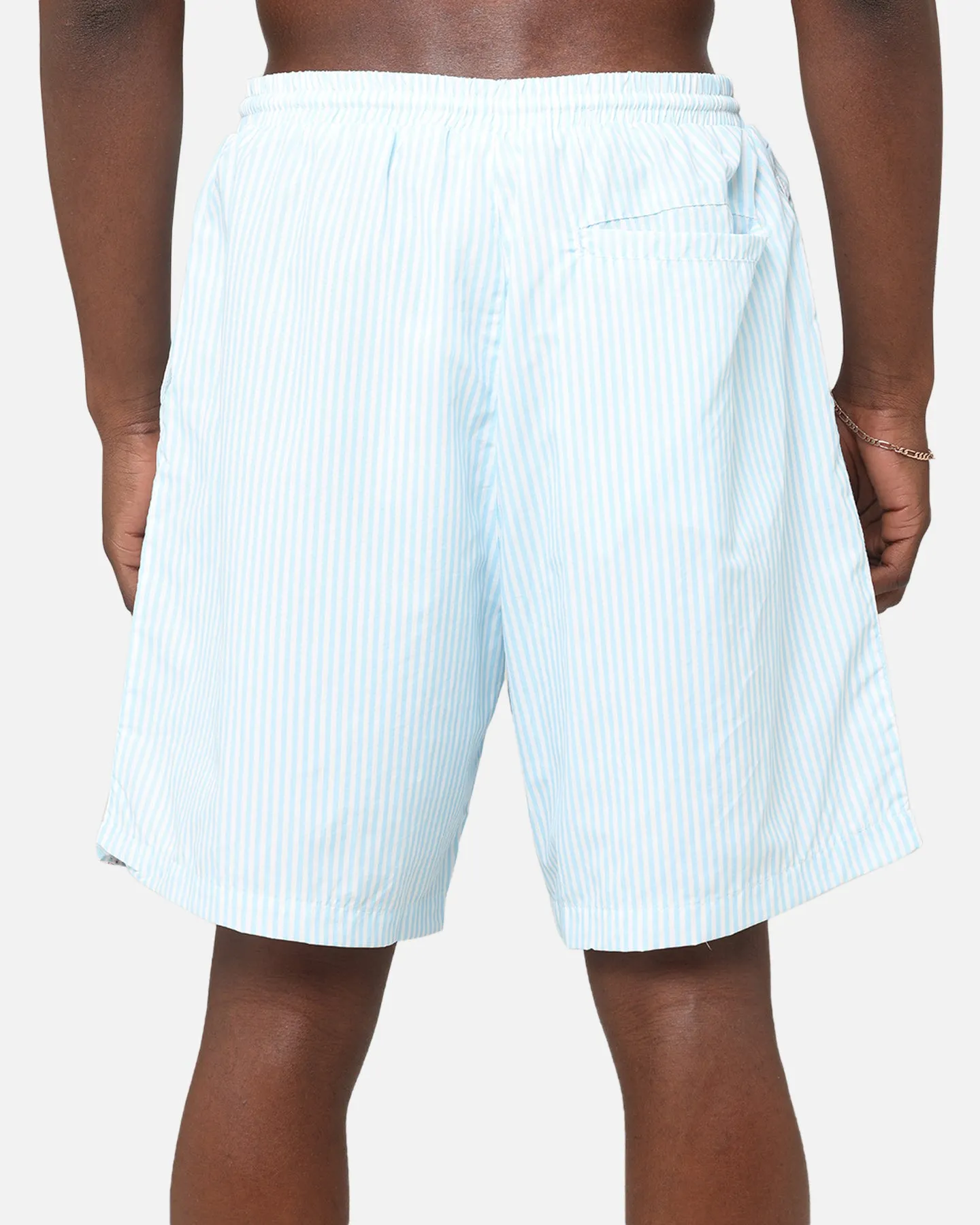 Ed Hardy Beach Shorts Blue Stripe