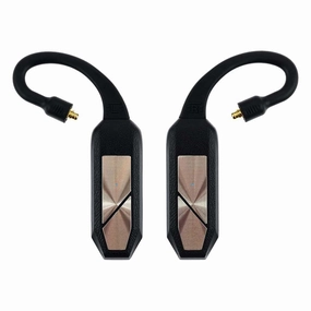 iFi Audio GO Pod