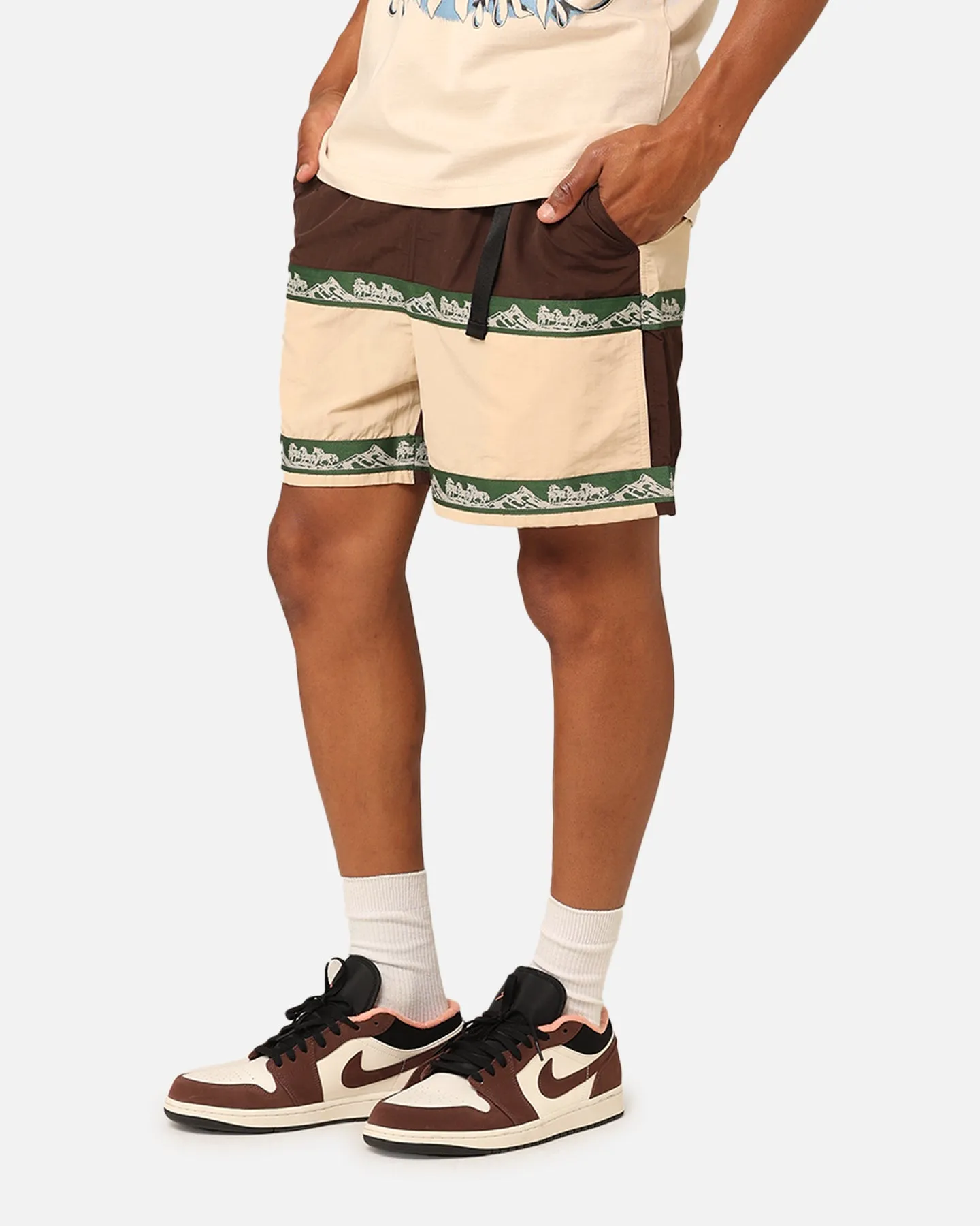 Market Sequoia Tech Shorts Multi