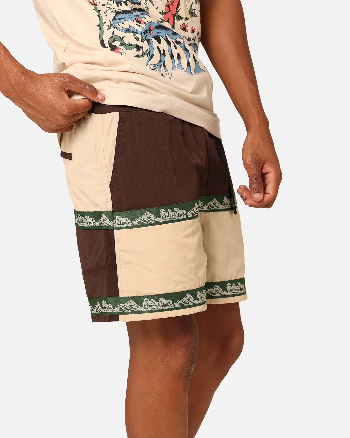 Market Sequoia Tech Shorts Multi