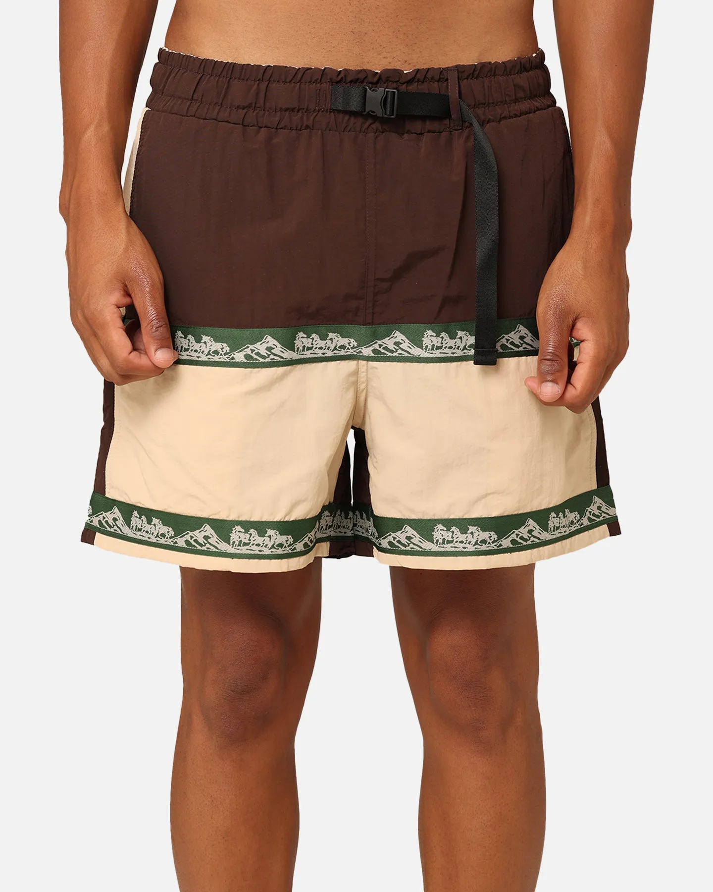 Market Sequoia Tech Shorts Multi