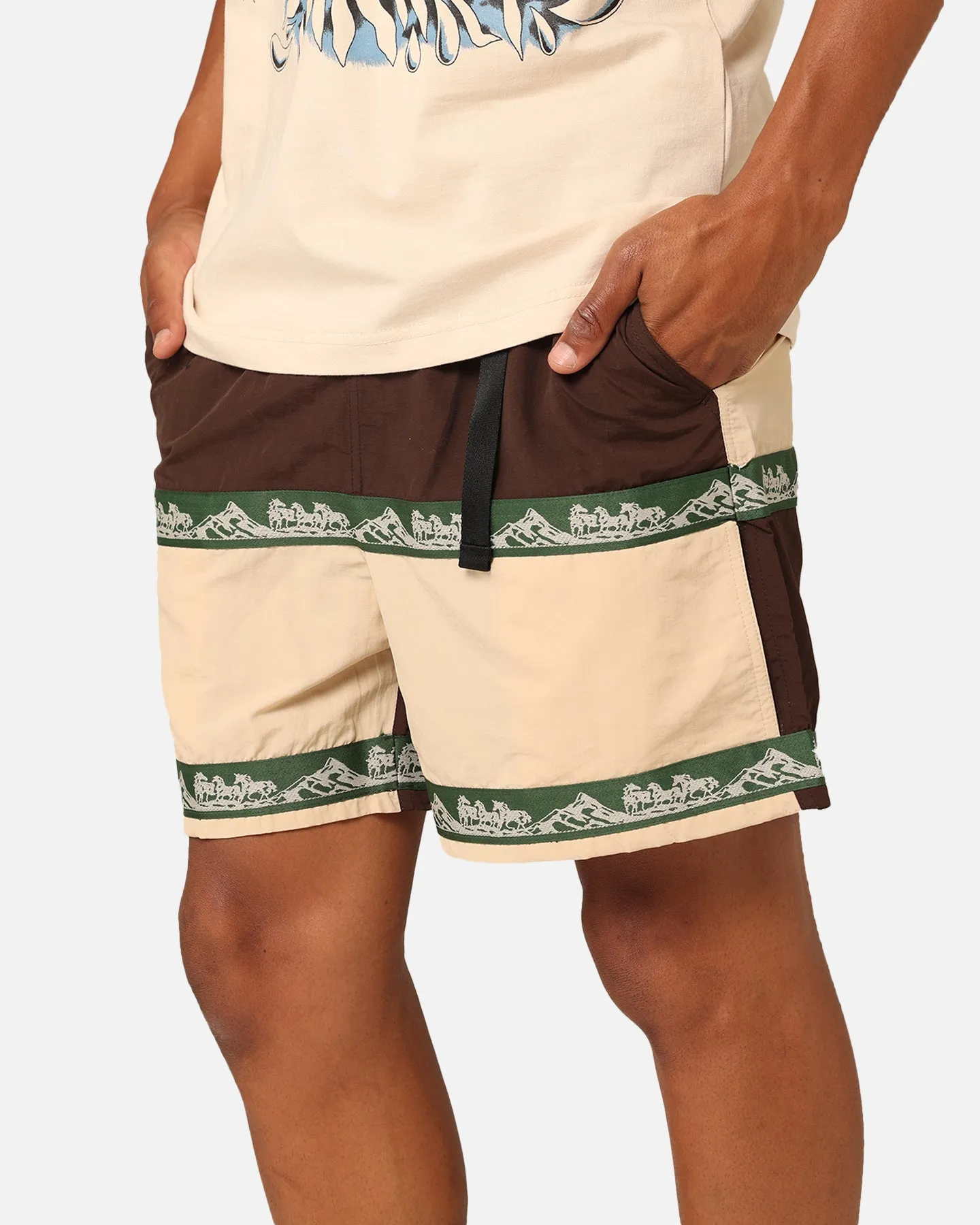 Market Sequoia Tech Shorts Multi