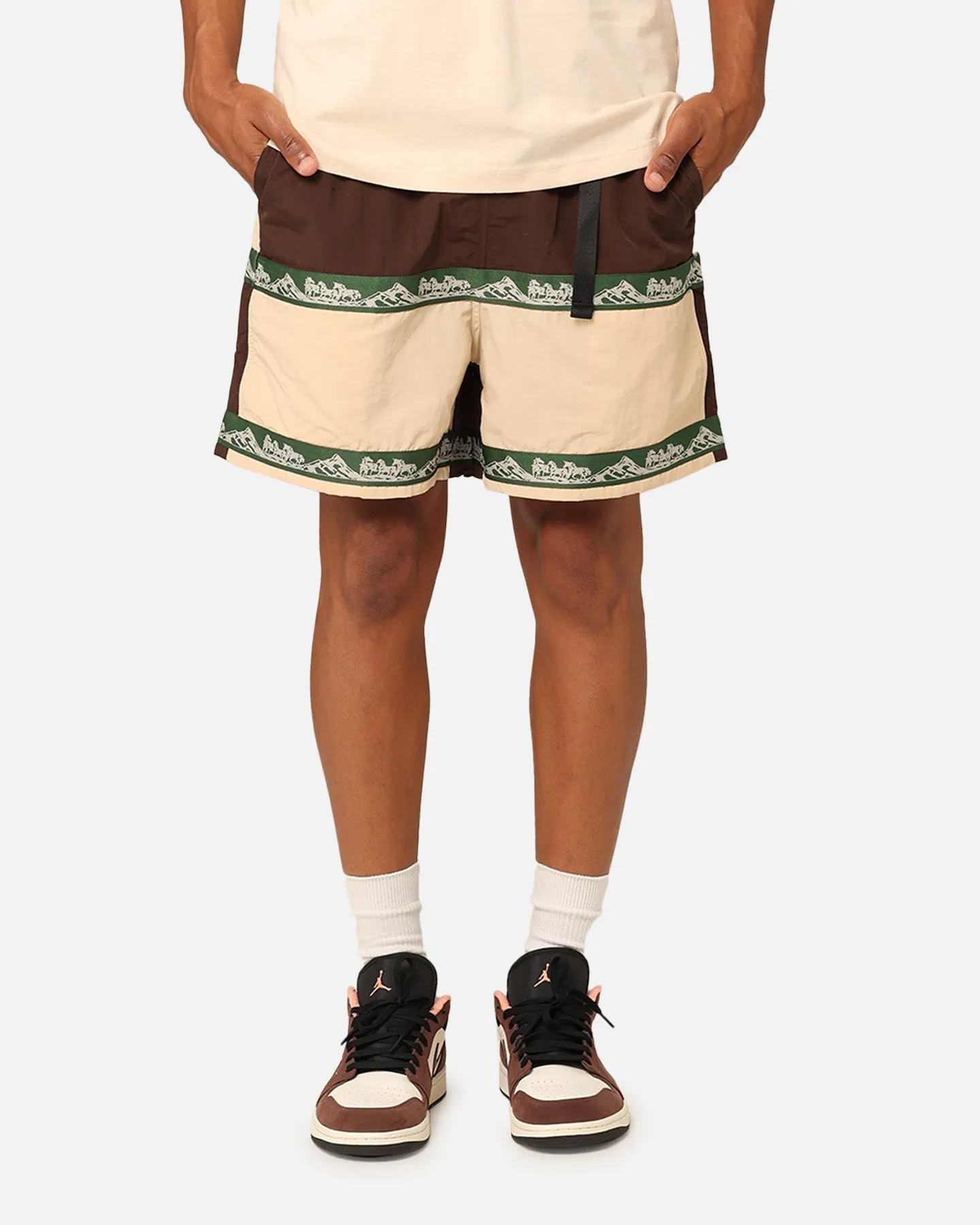 Market Sequoia Tech Shorts Multi
