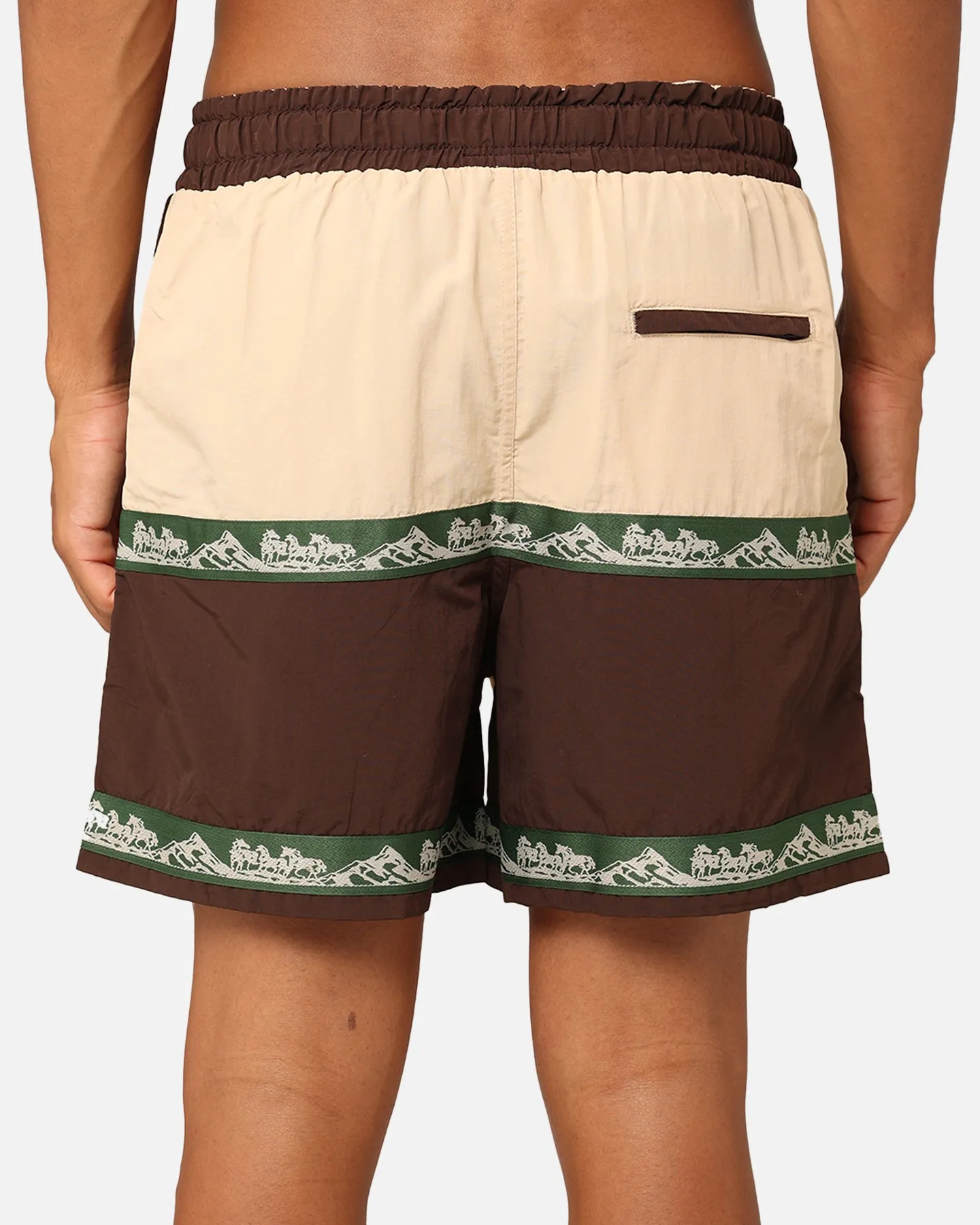 Market Sequoia Tech Shorts Multi