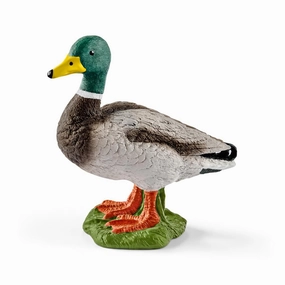 Schleich Duck - Mallard Drake