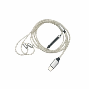 Strauss & Wagner Delft 2-pin to USB-C In-Ear Monitor Upgrade Cable (32-Bit)