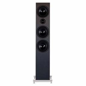 T A Elektroakustik Caruso S 10 Floorstanding Loudspeaker (pair)