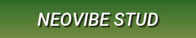 NeoVibe Studios – Futuristic Streetwear & Bold Fashion Statements